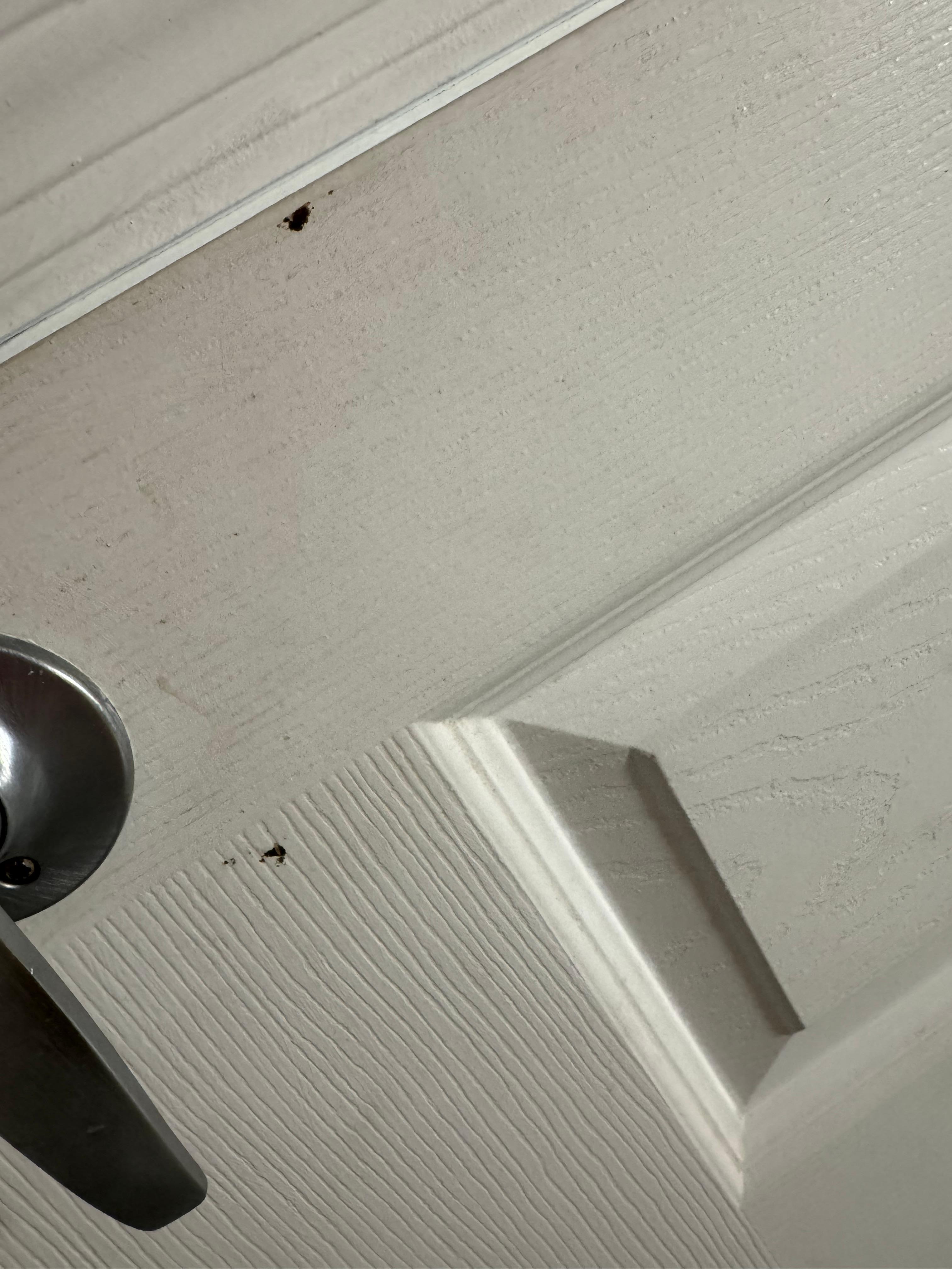 Inside the bathroom door nasty! 