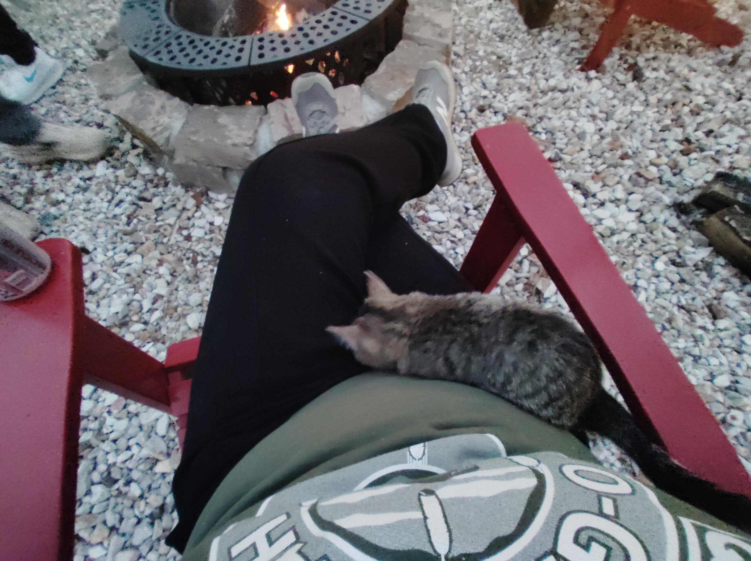 The neighborhood kitty visit was a bonus! 