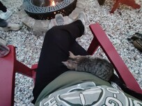 The neighborhood kitty visit was a bonus!