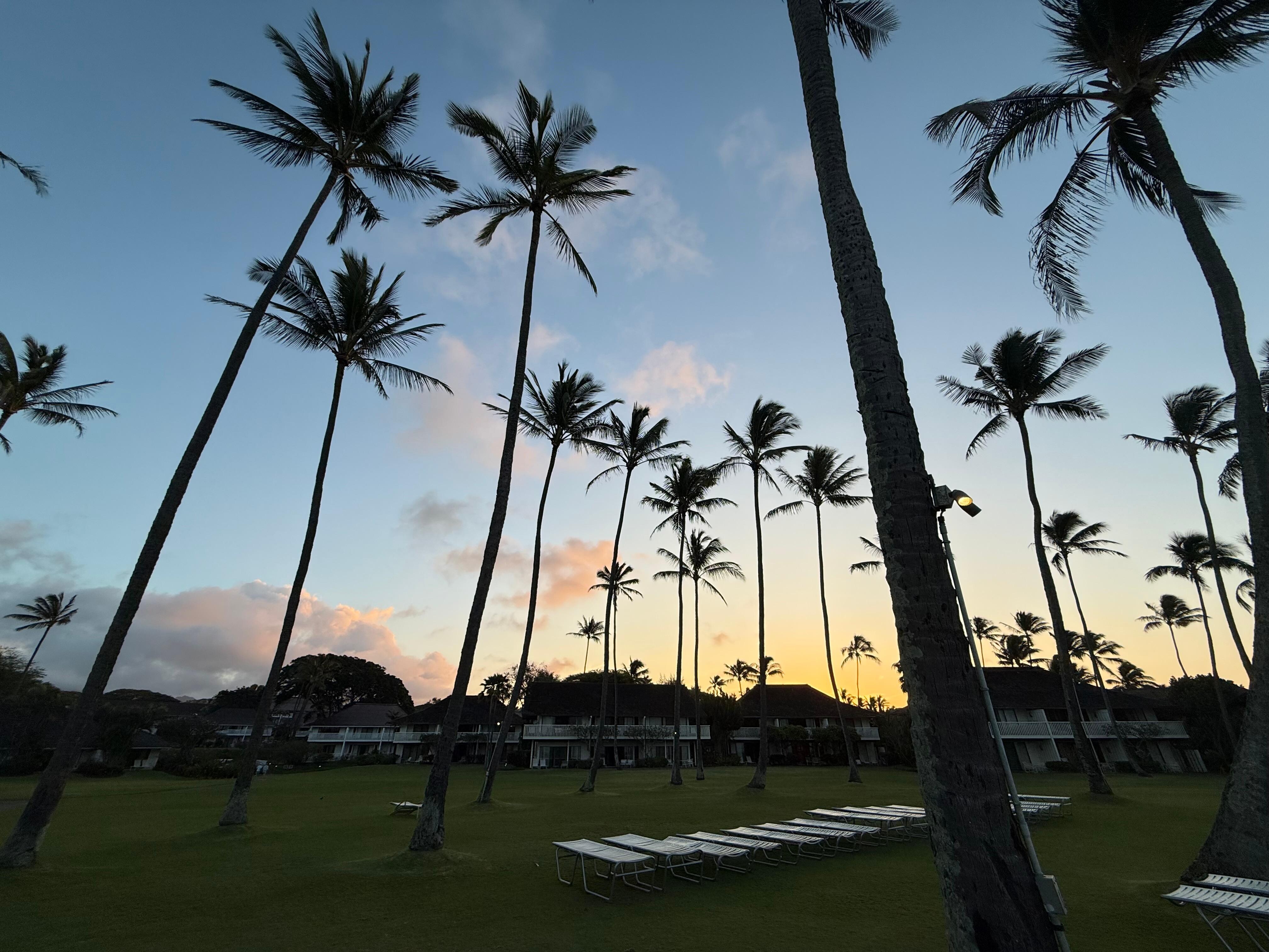 Sunrise on the property 