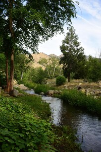 This is taken of the creek in back of the house.