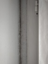 Black mold all over the window seals.