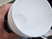 coffee grounds in, I assume, unused cup.