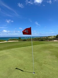 Turtle Bay