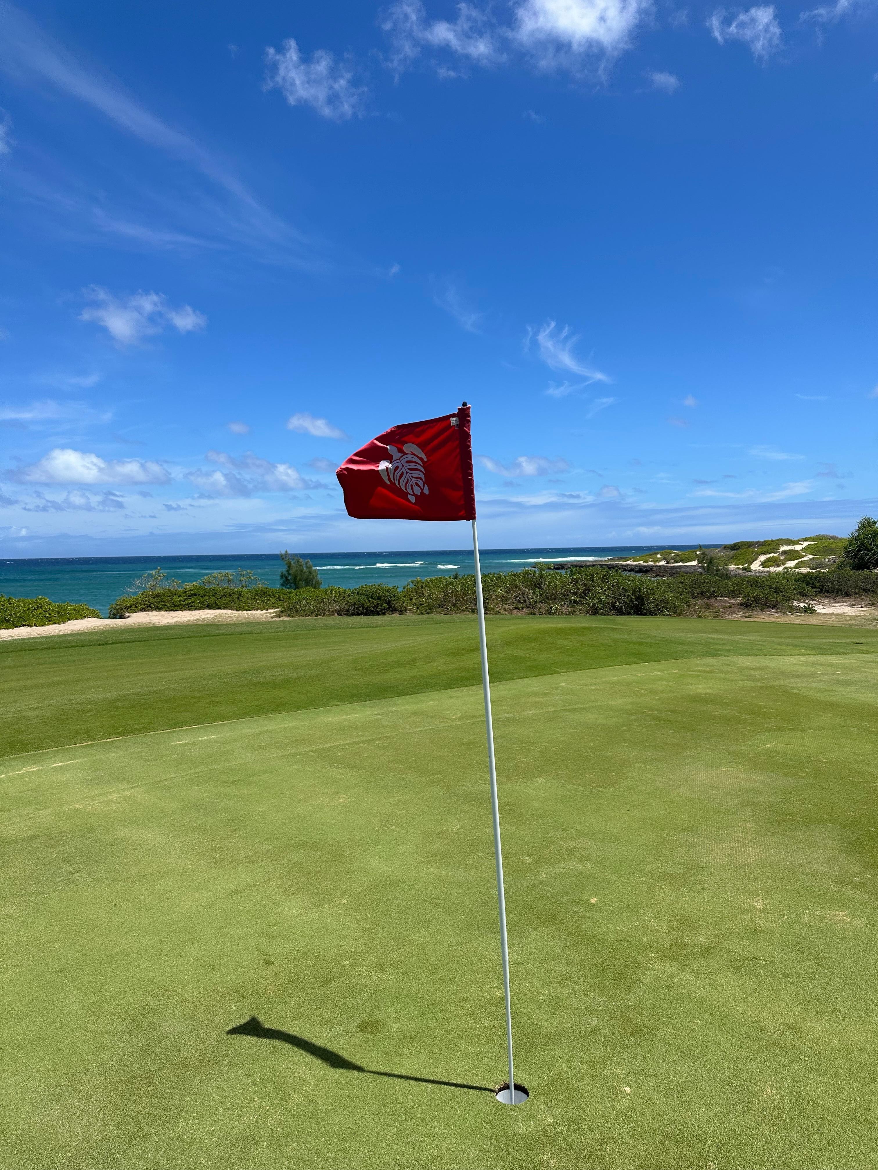 Turtle Bay