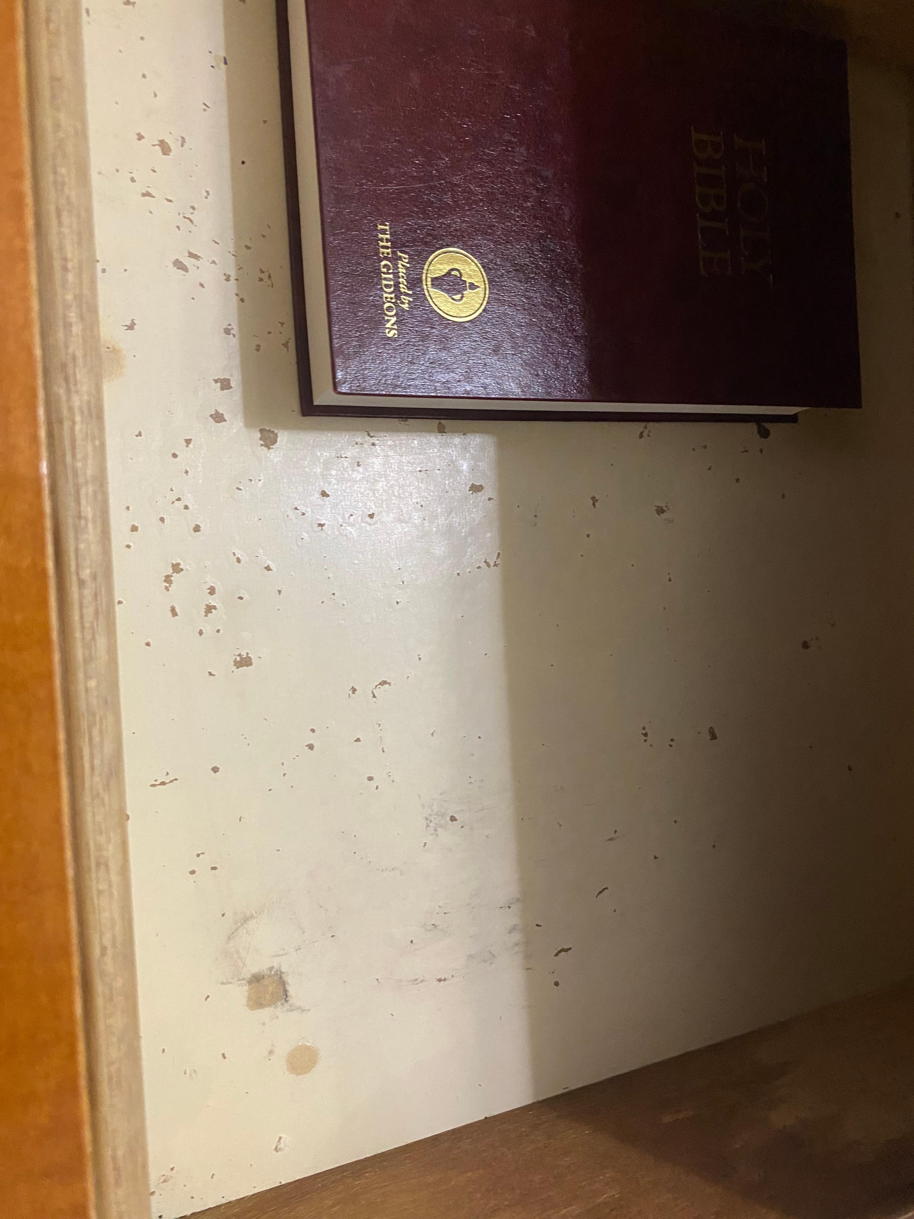 Inside every drawer trashy motel