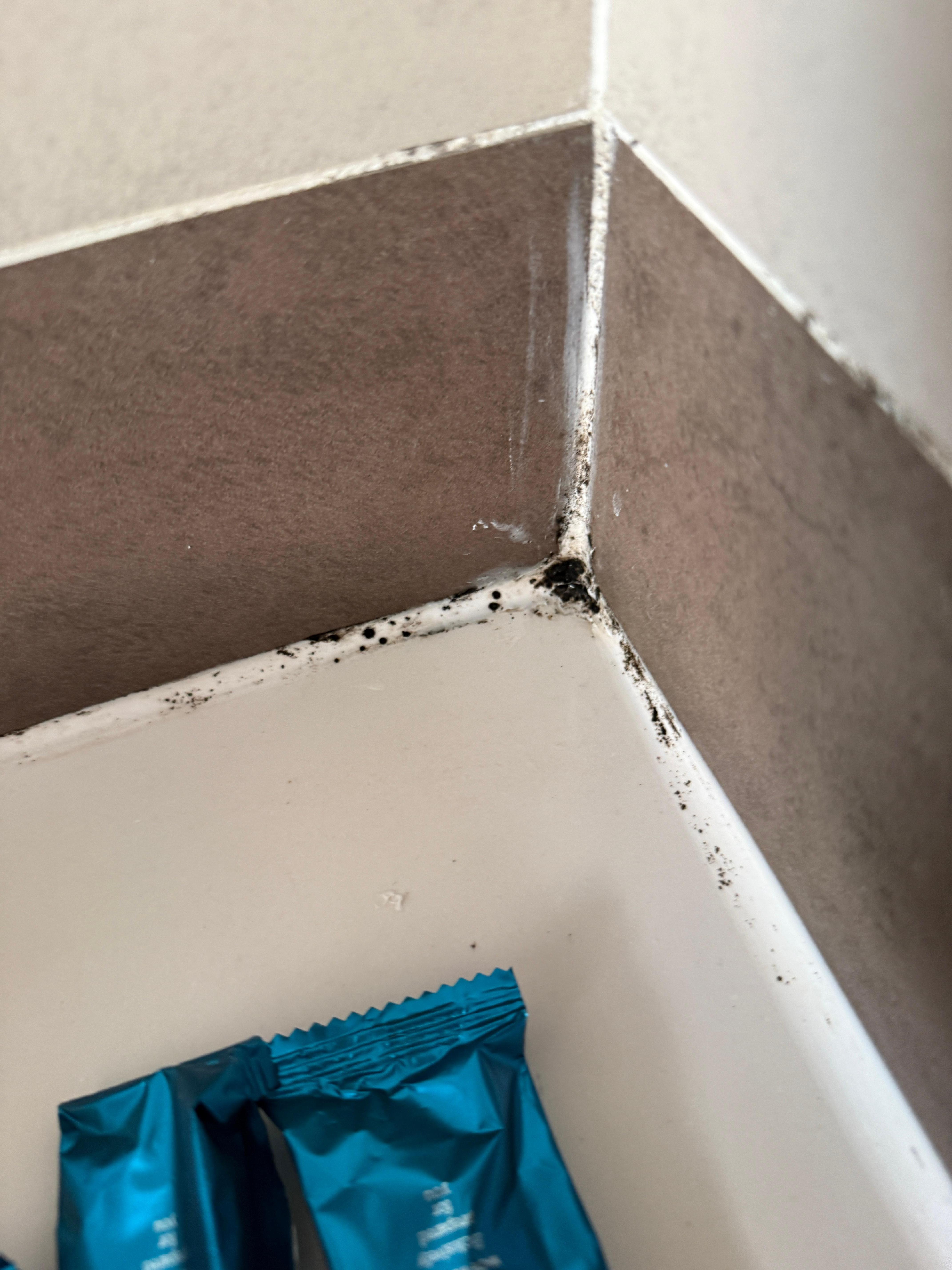 Mold in bathroom