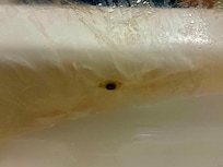 Molded Shower Curatin