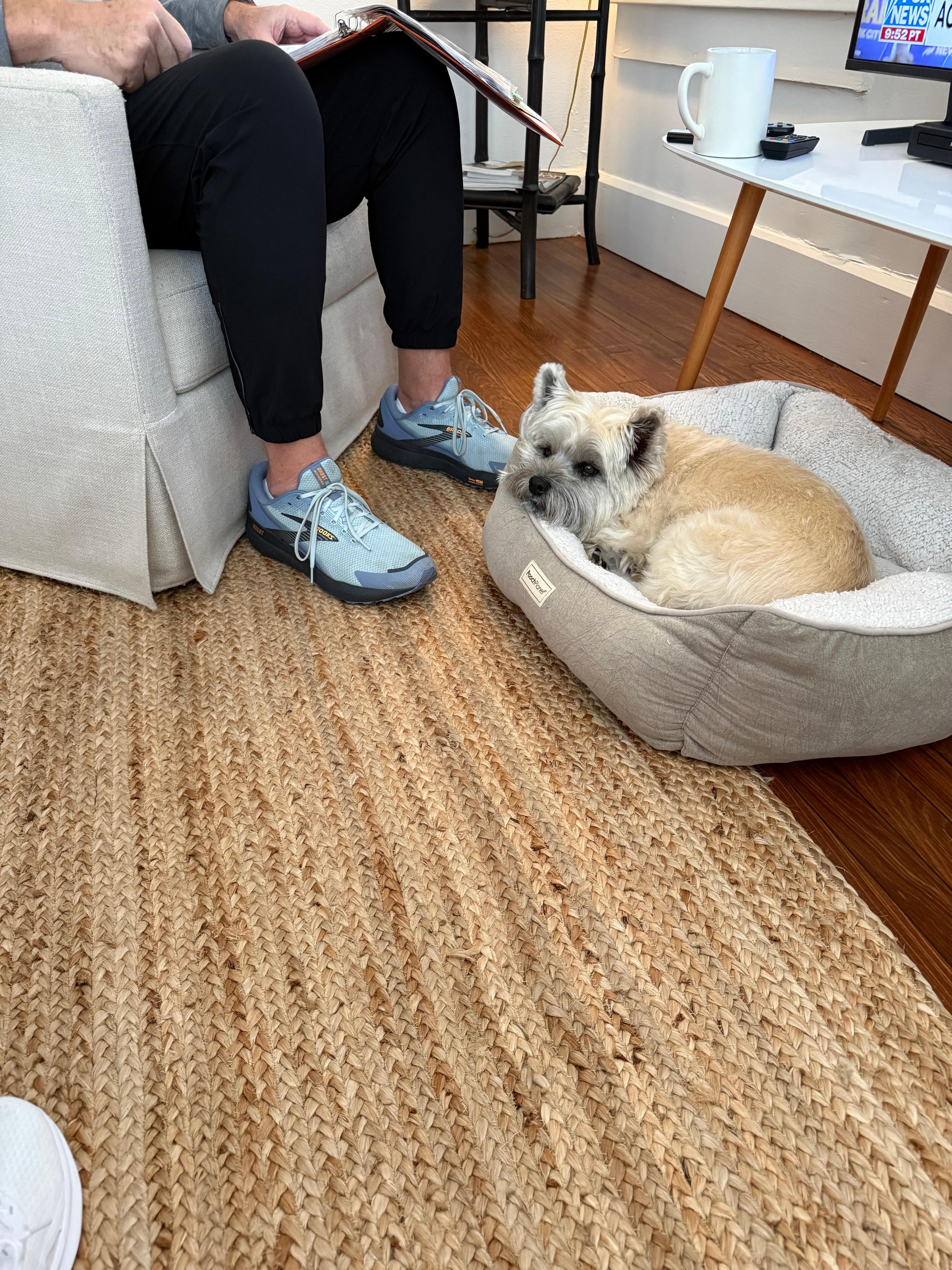 Great for a dog with the fenced in side yard 