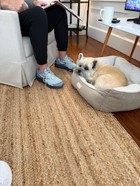 Great for a dog with the fenced in side yard