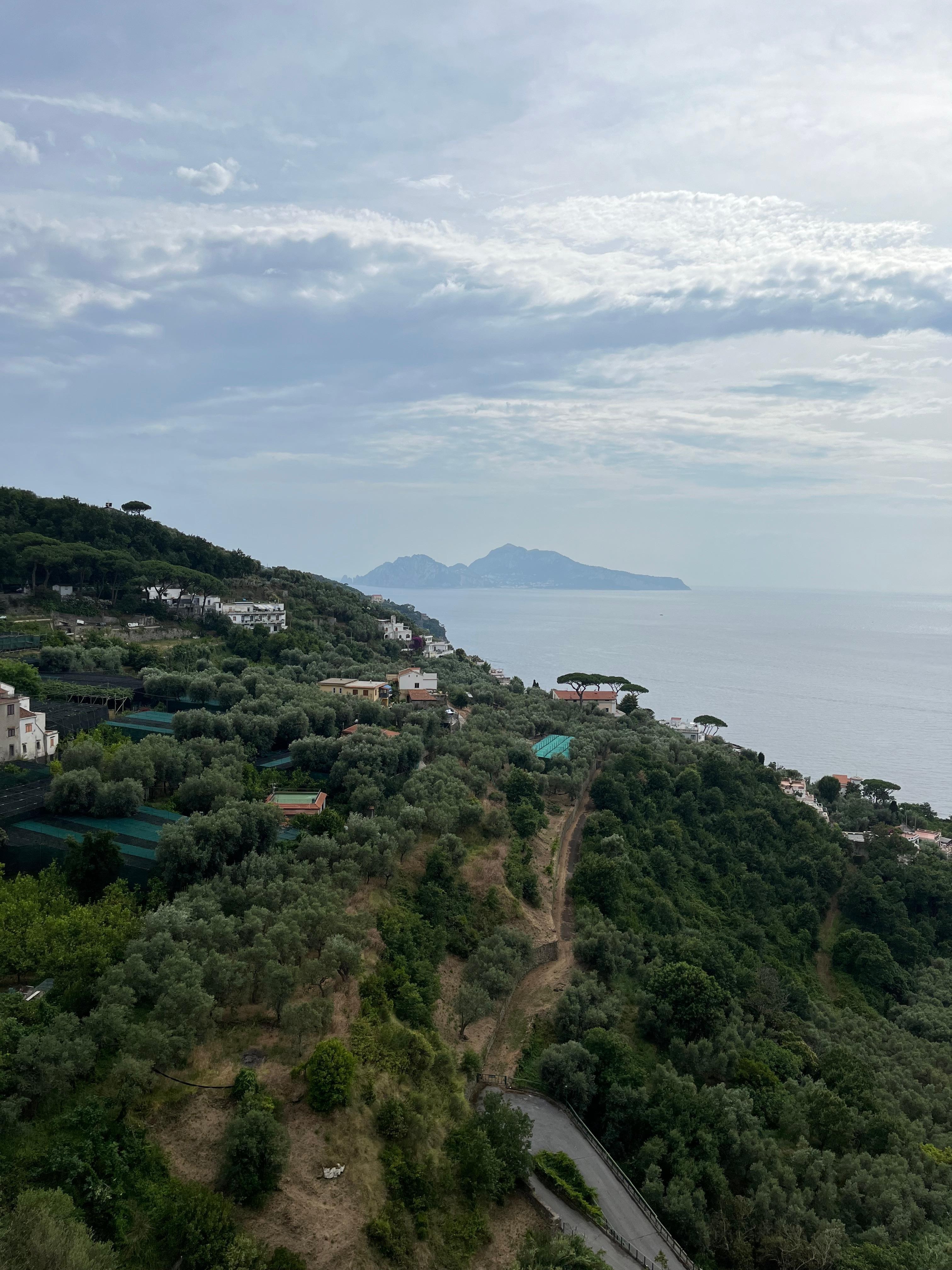 View from hotel