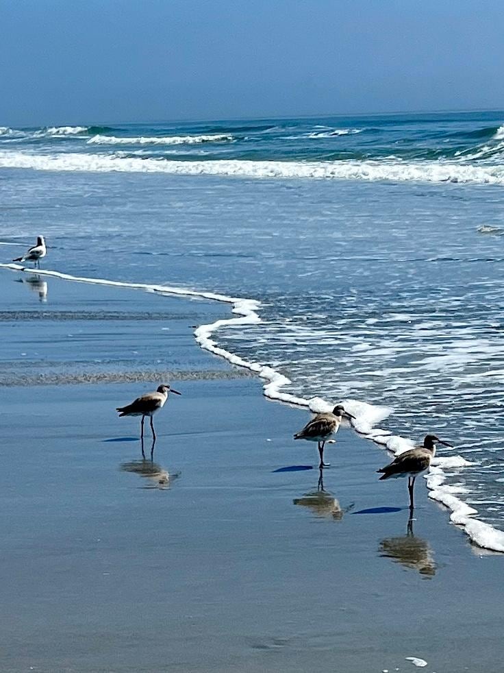 Ocean pic taken in front of Shore is Beautiful!