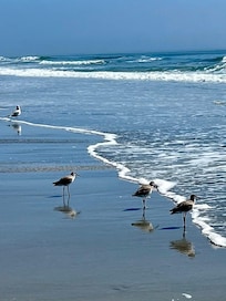 Ocean pic taken in front of Shore is Beautiful!