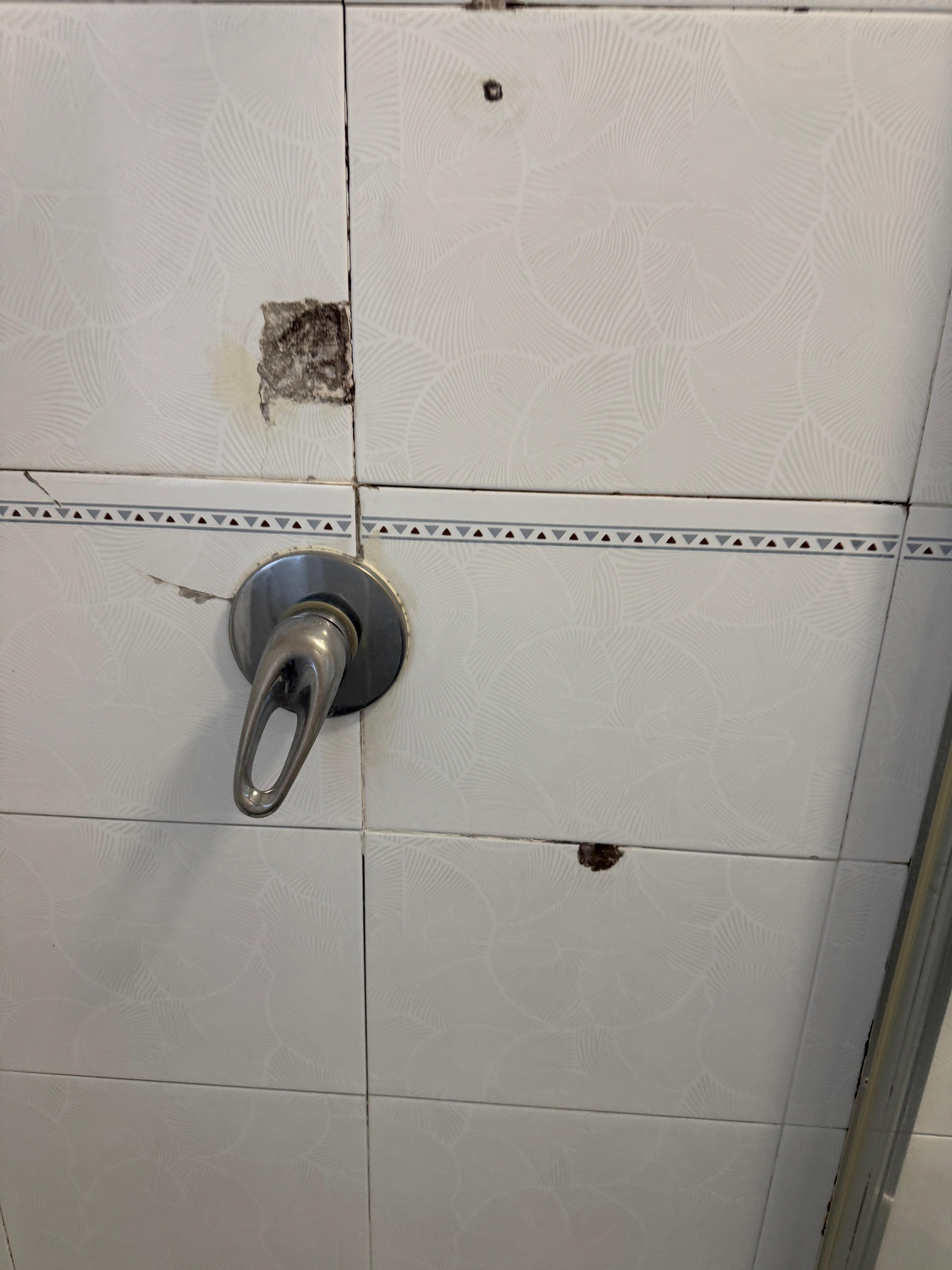 La douche et sa moisissure et sa poignée brisée 