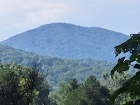 View from front porch
