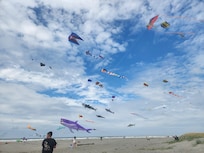 Long Beach Kite Festival 2025