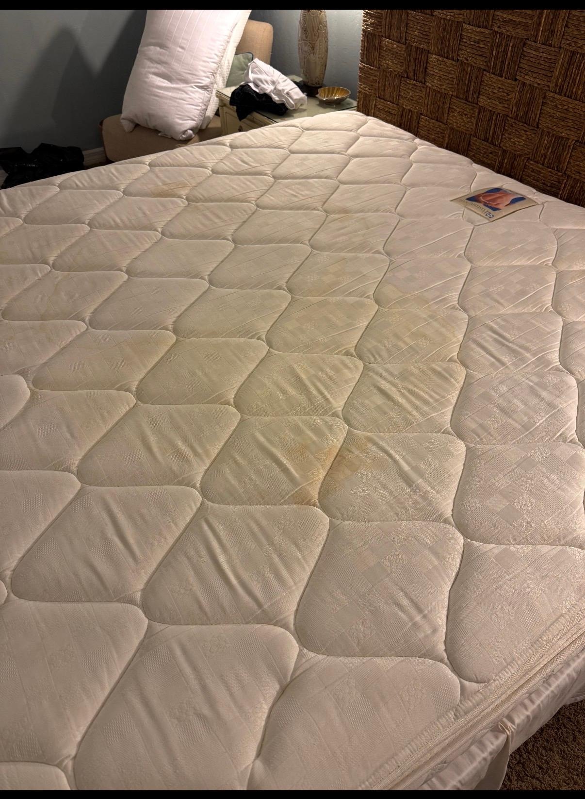 Urine Stain on Mattress 