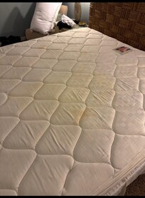 Urine Stain on Mattress
