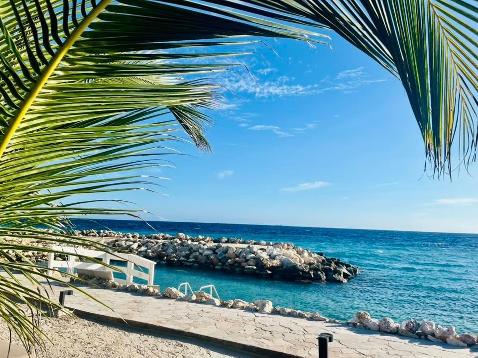 Beach area, little lagoon which is great for snorkeling
