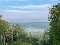 Morning view