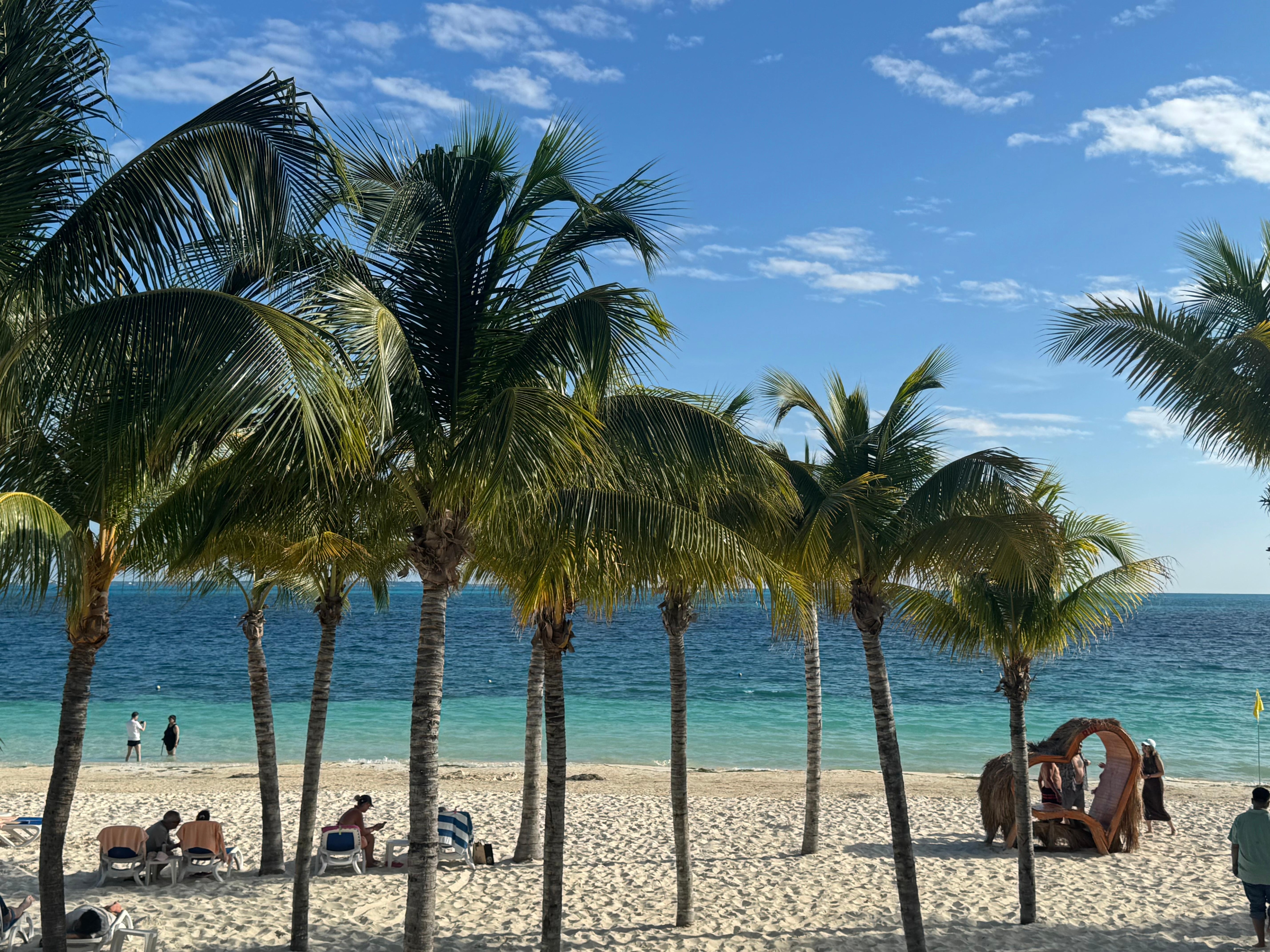 Beach area is beautiful but Sargassum was present during our stay and feces floating in water. Not sure if it’s from sewage or from Manatees, but swim at your own risk. The staff cleaned sargassum off the beach daily. 