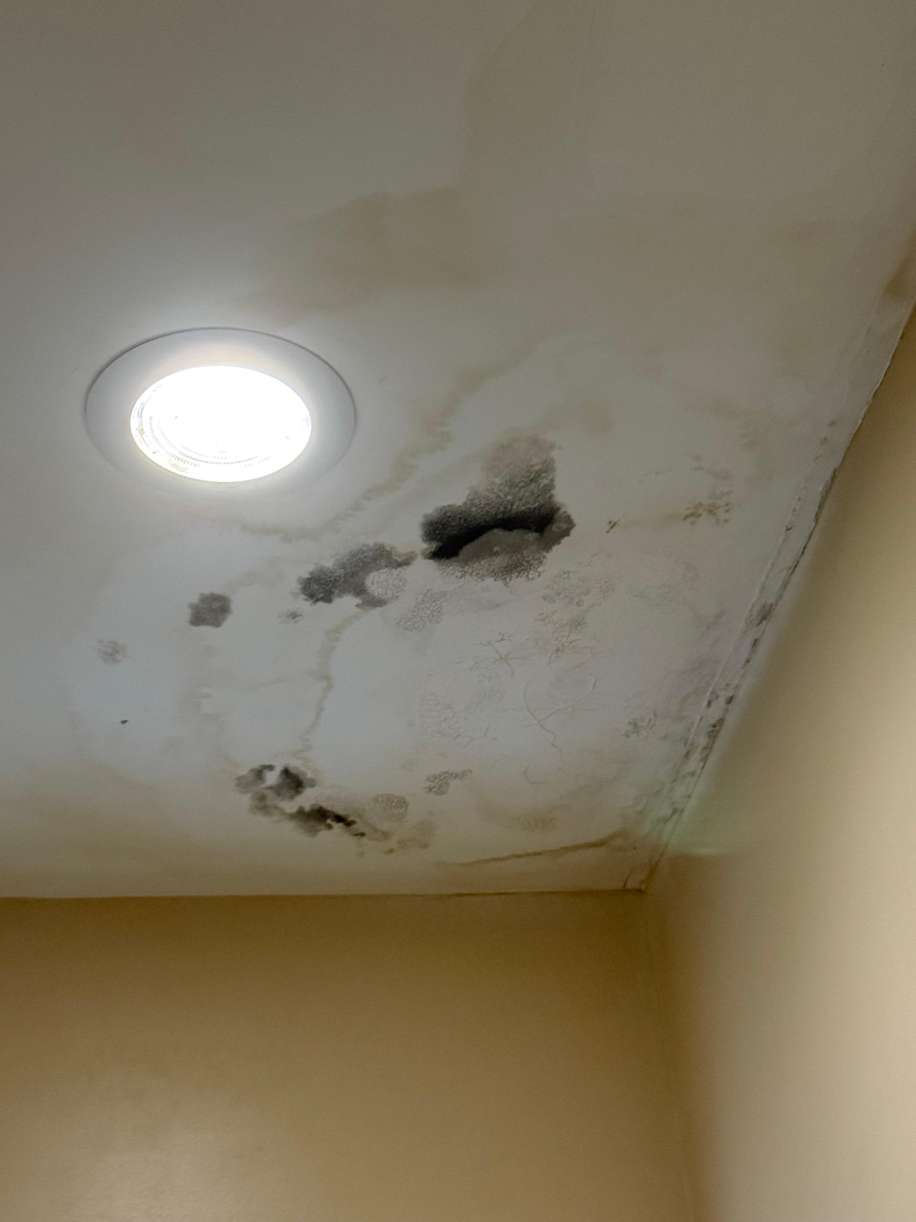 Moldy bathroom ceiling
