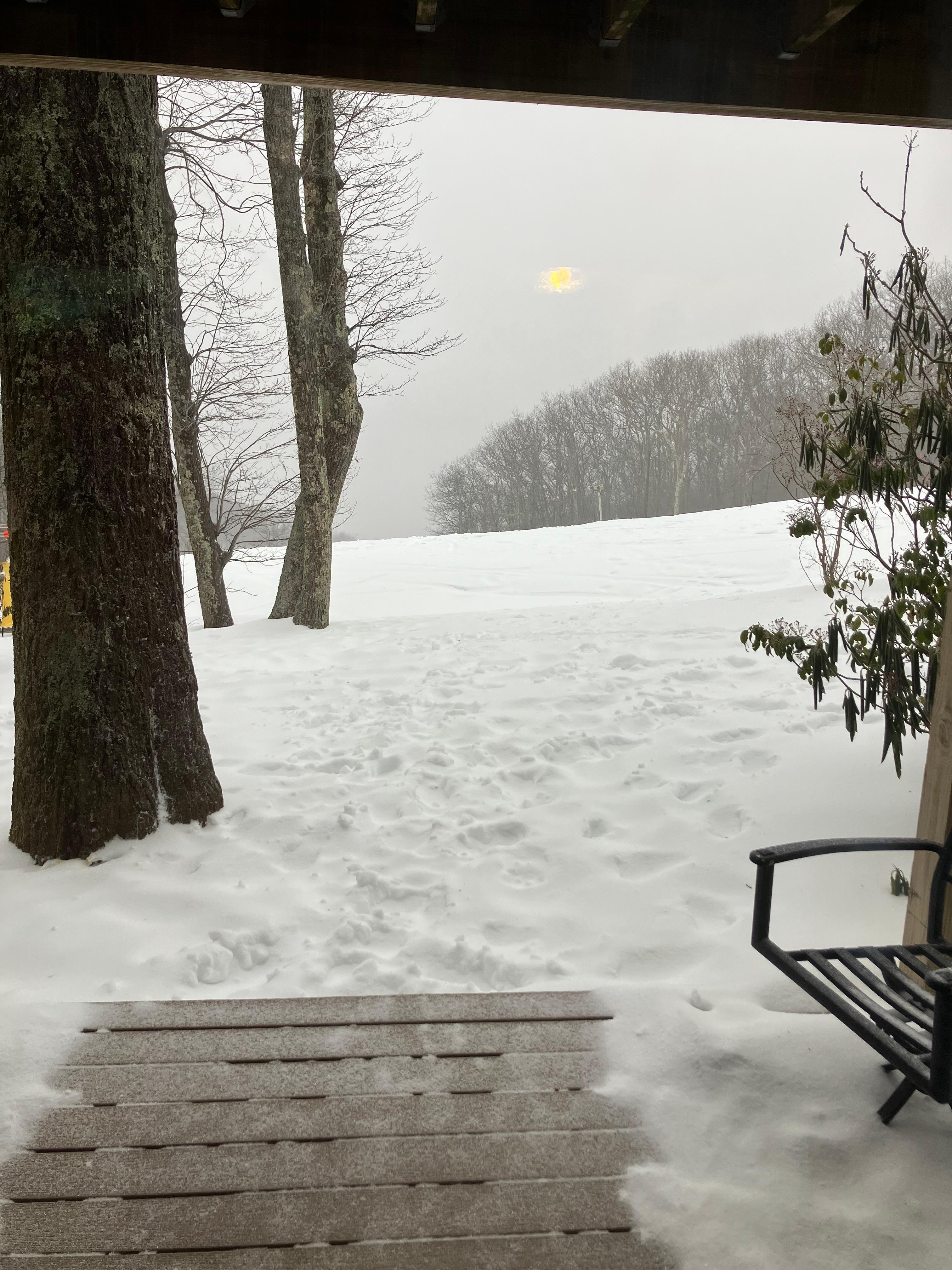 A little fresh powder. 