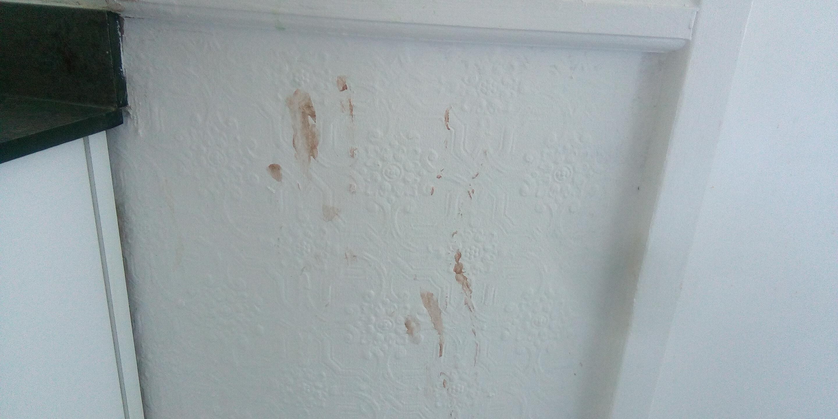 Blood? handprint 