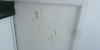 Blood? handprint