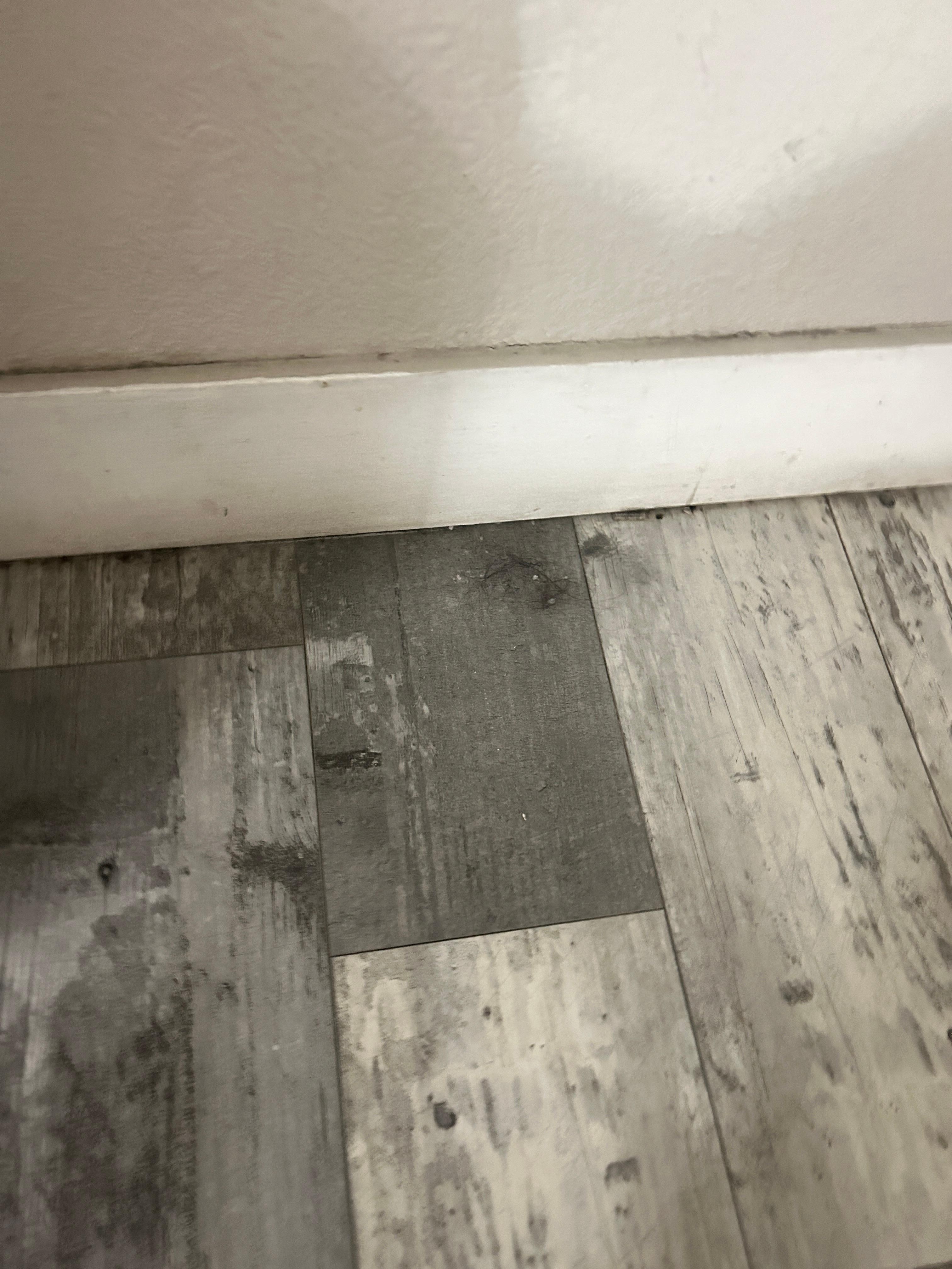 Hair all over the floor 