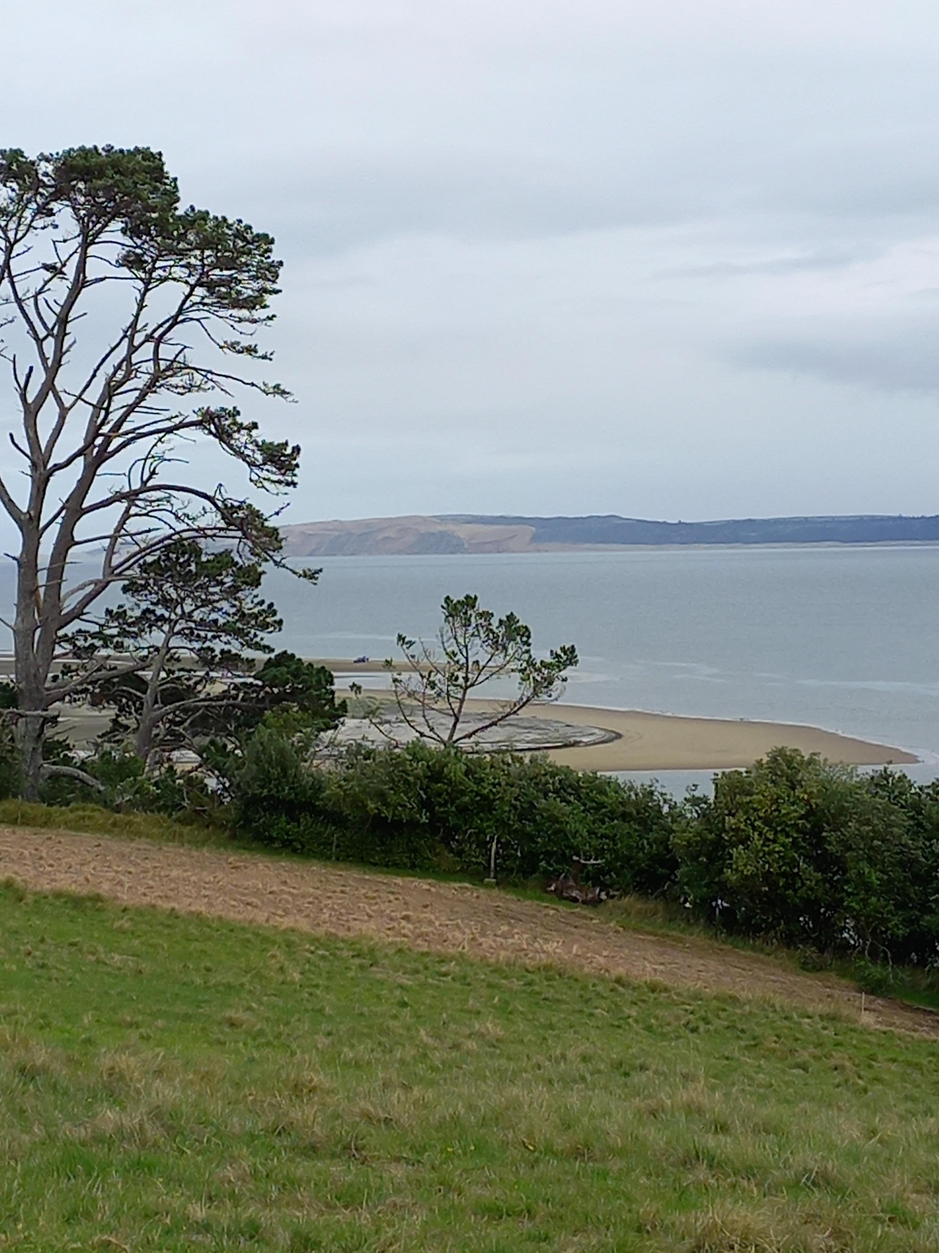 View of the Kaipara looking north.