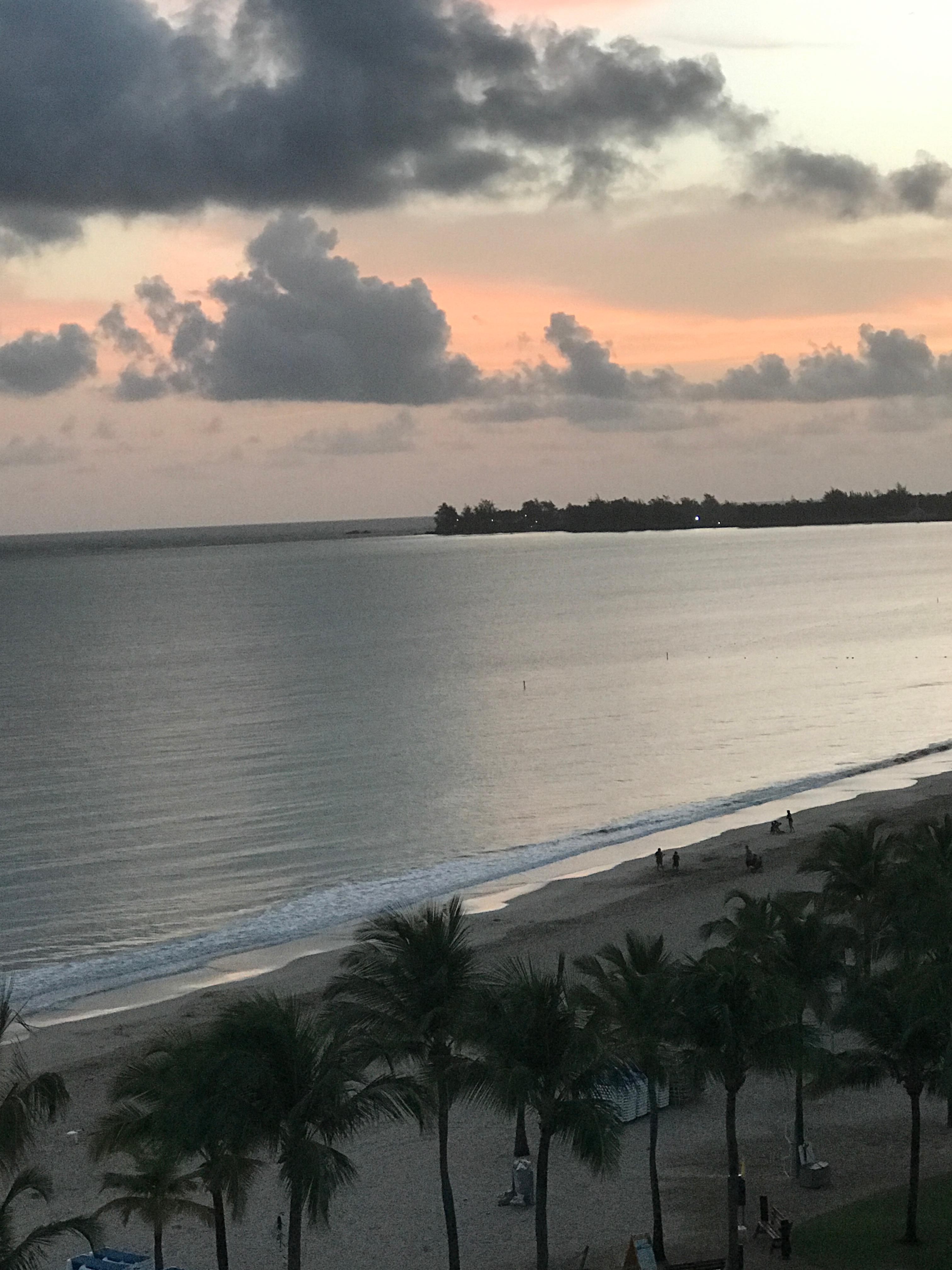 View from room