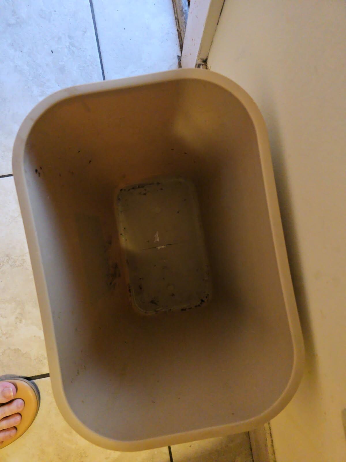 Black mold in the trash can