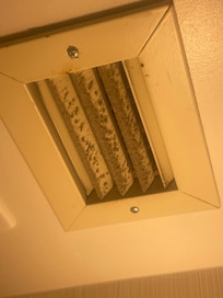 Mold in our bathroom . Literally has made me sick and sore throat days after our stay