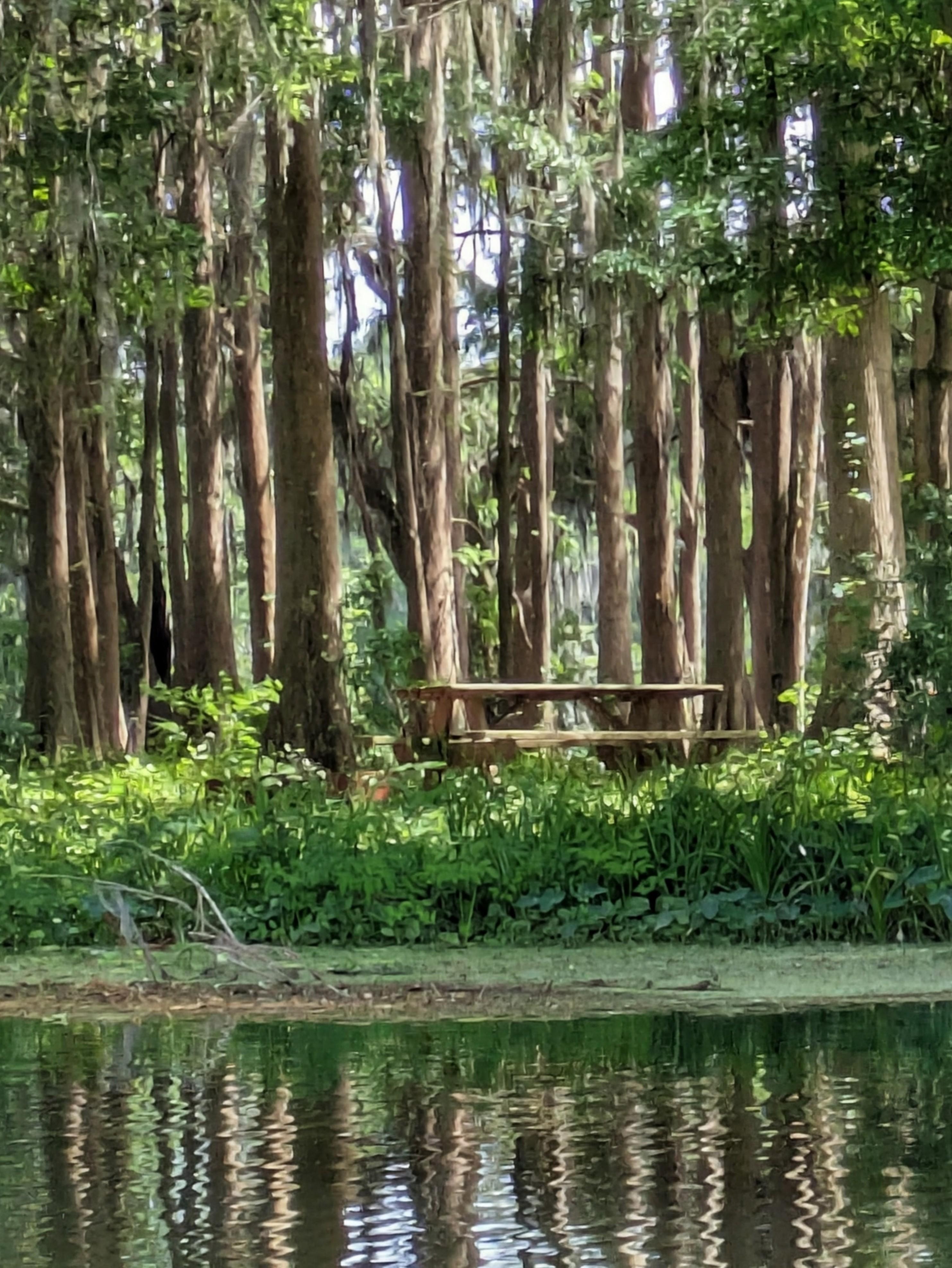 Paddle boarding to the Withlahoochi just around the bend.