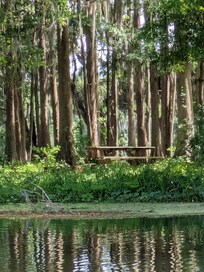 Paddle boarding to the Withlahoochi just around the bend.
