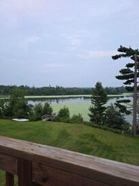 View from the deck when we arrived. It was very hot before we arrived. Most of the green was gone within a day or two