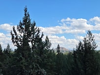 The view from the porch