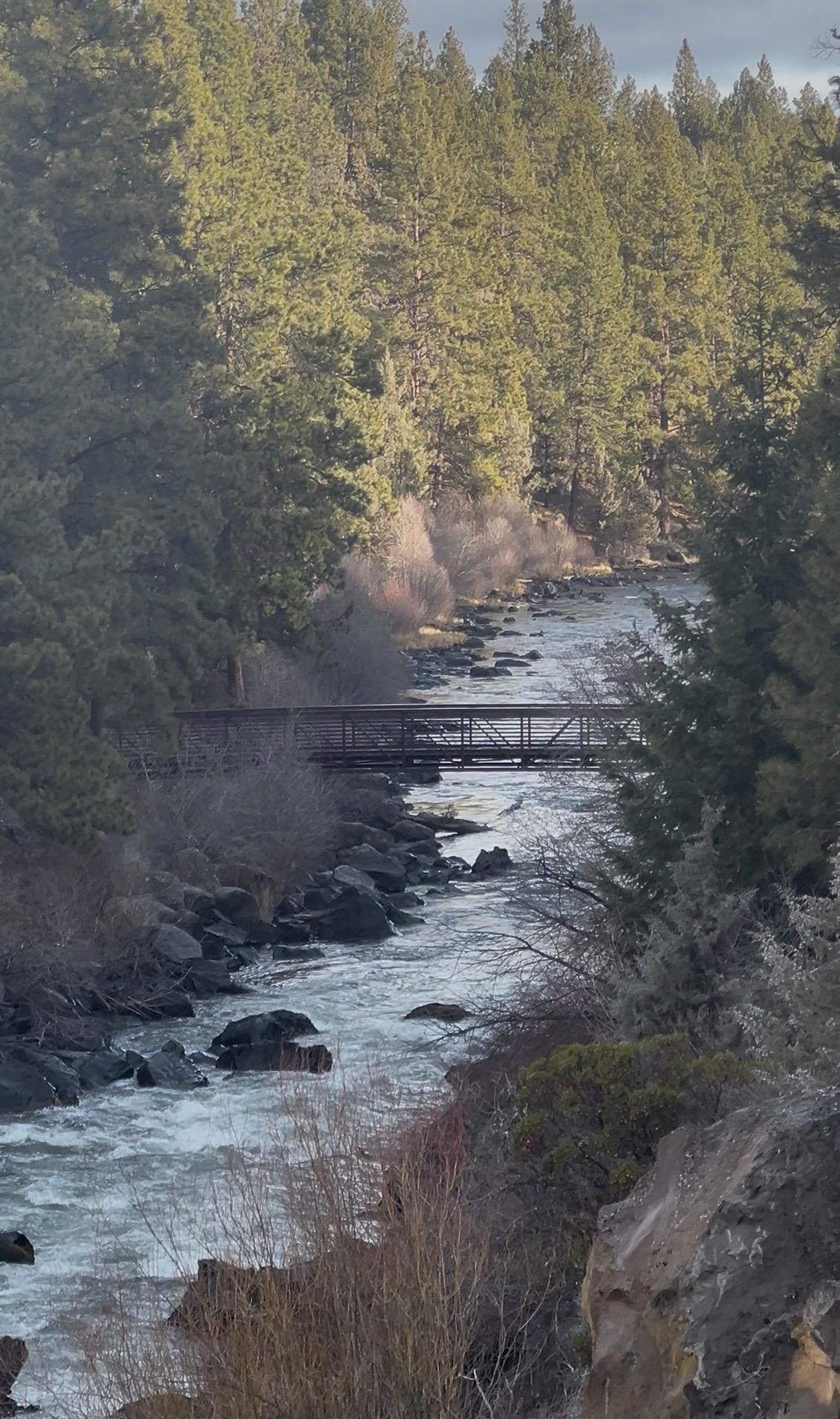 An amazing part of staying in bend is all of the great trails to take walks.  This was nearby and we could walk this trails along the river for miles!