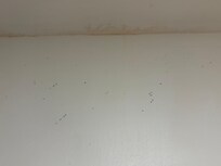 Mold in bathroom