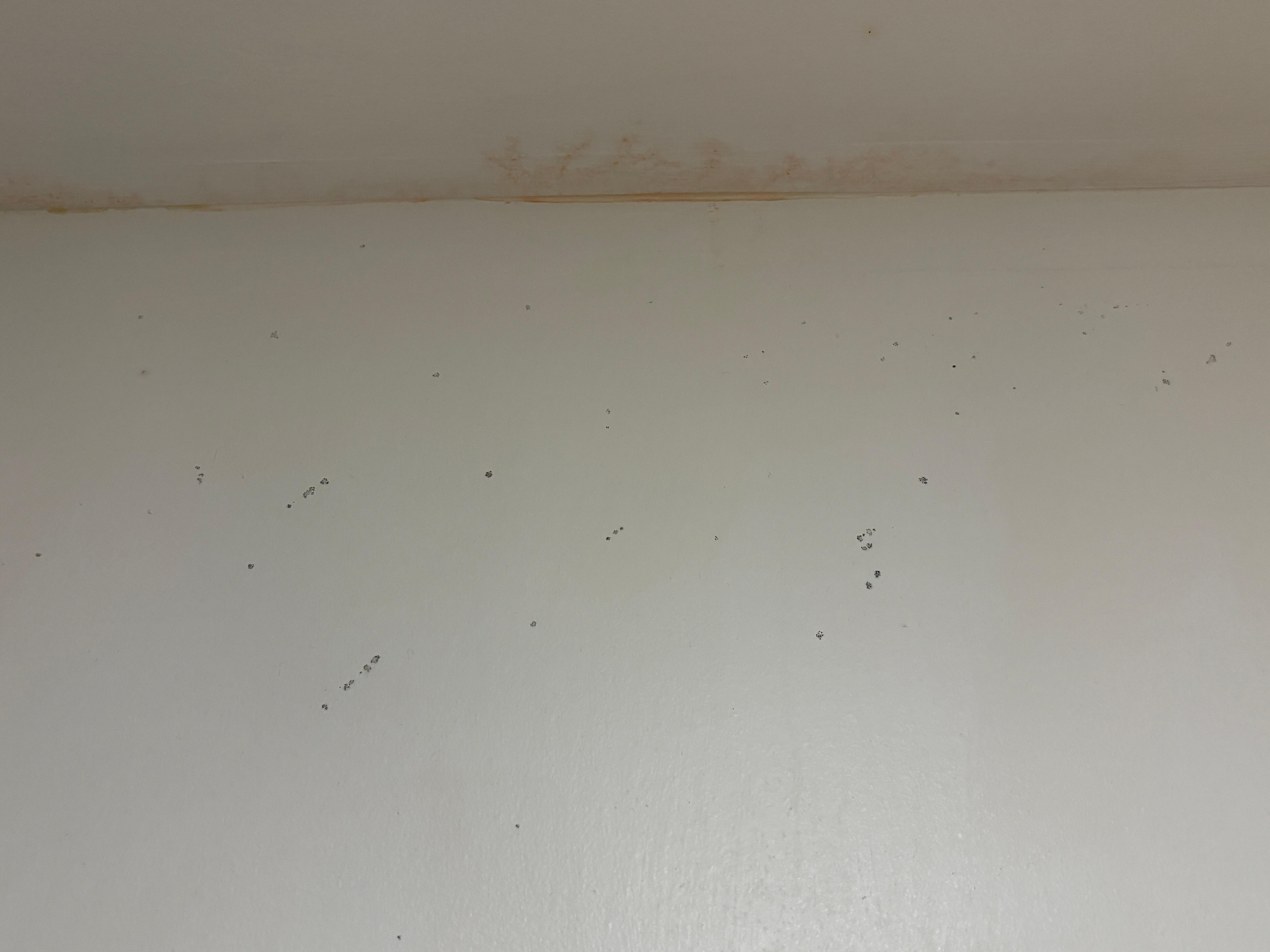 Mold in bathroom