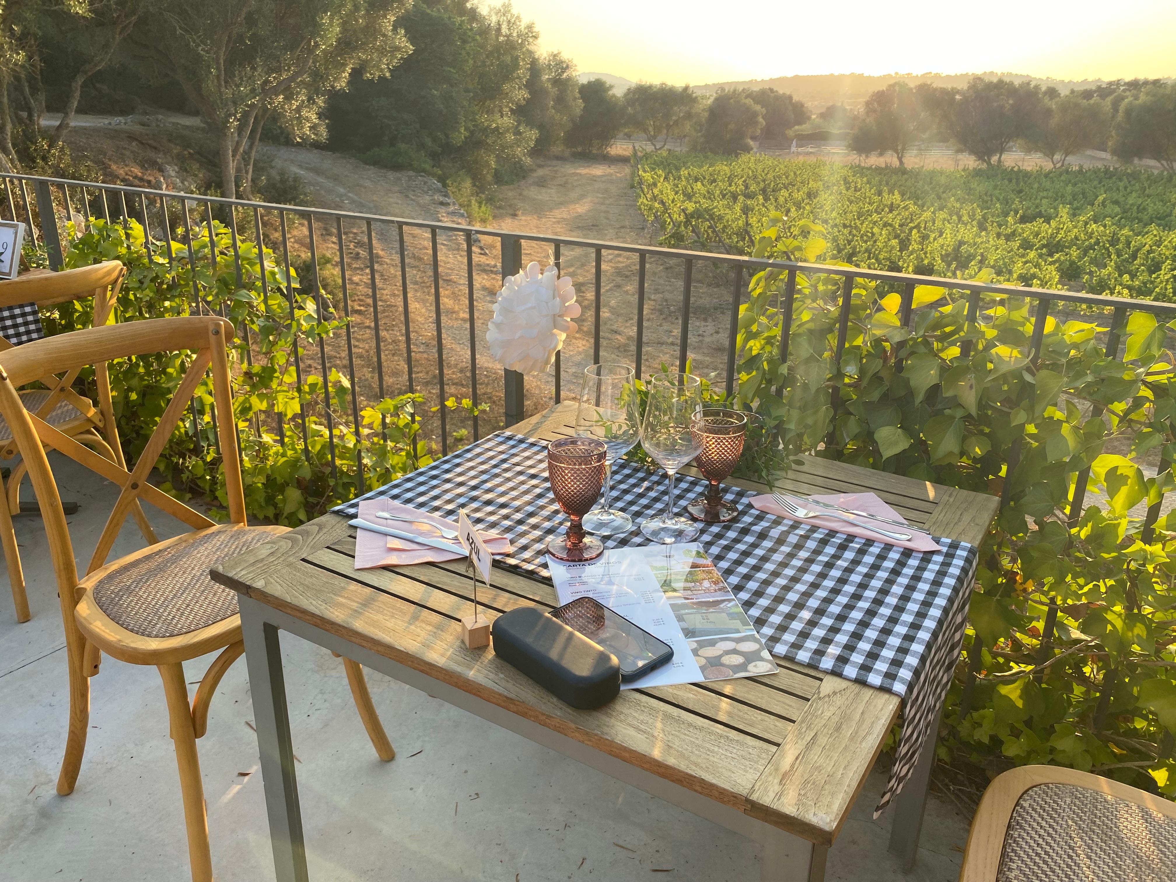 BBQ overlooking their vineyards 