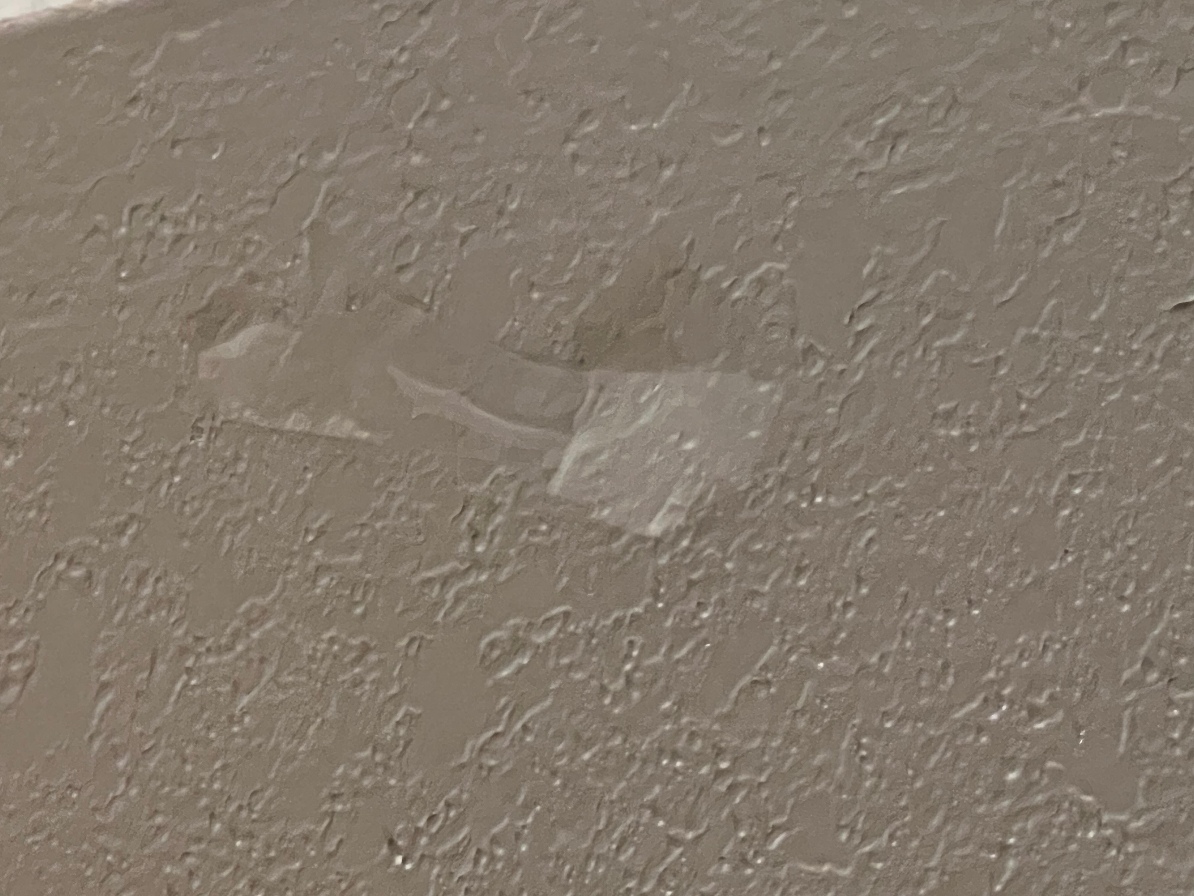Tape on wall over head of bed