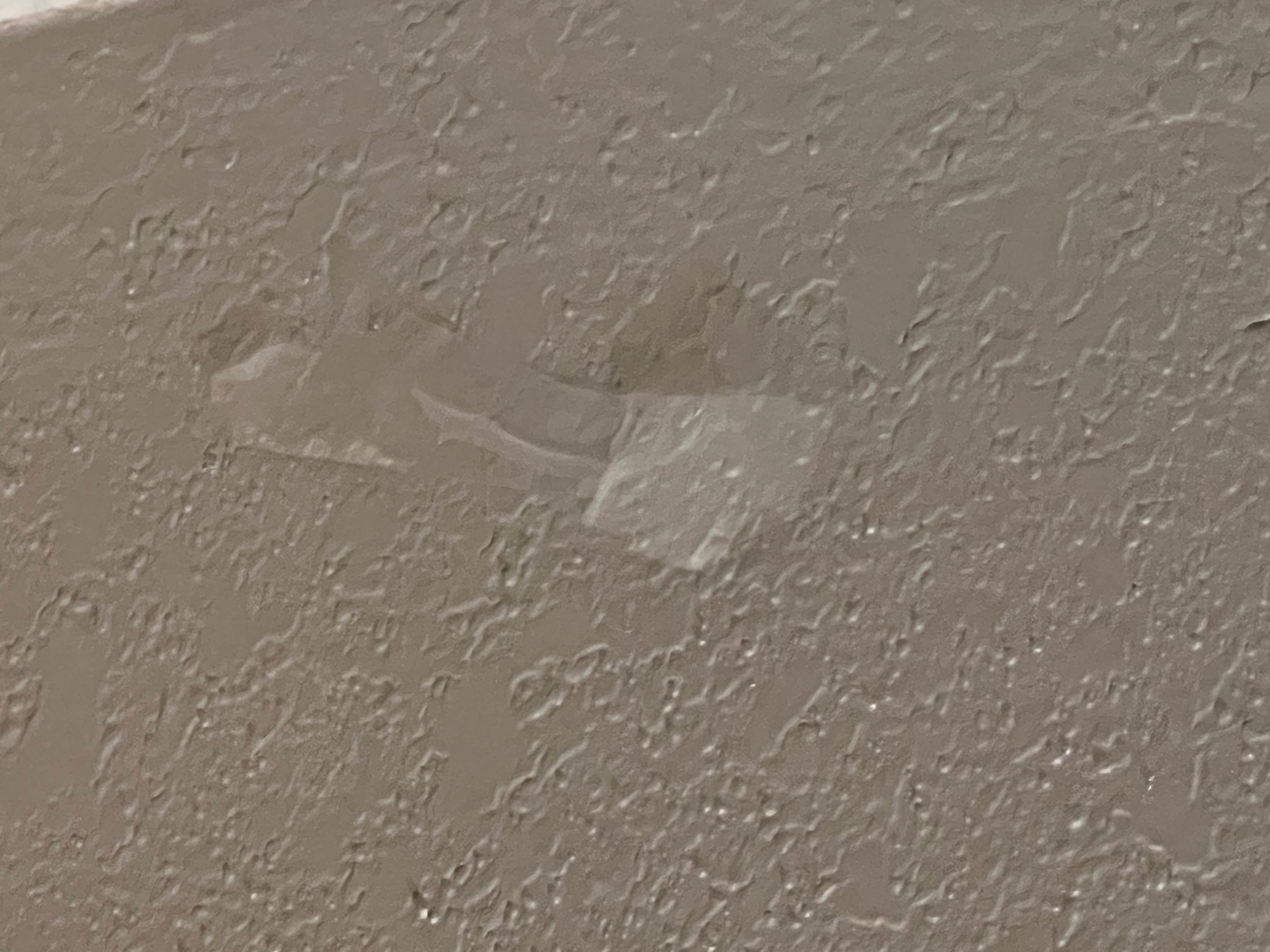 Tape on wall over head of bed