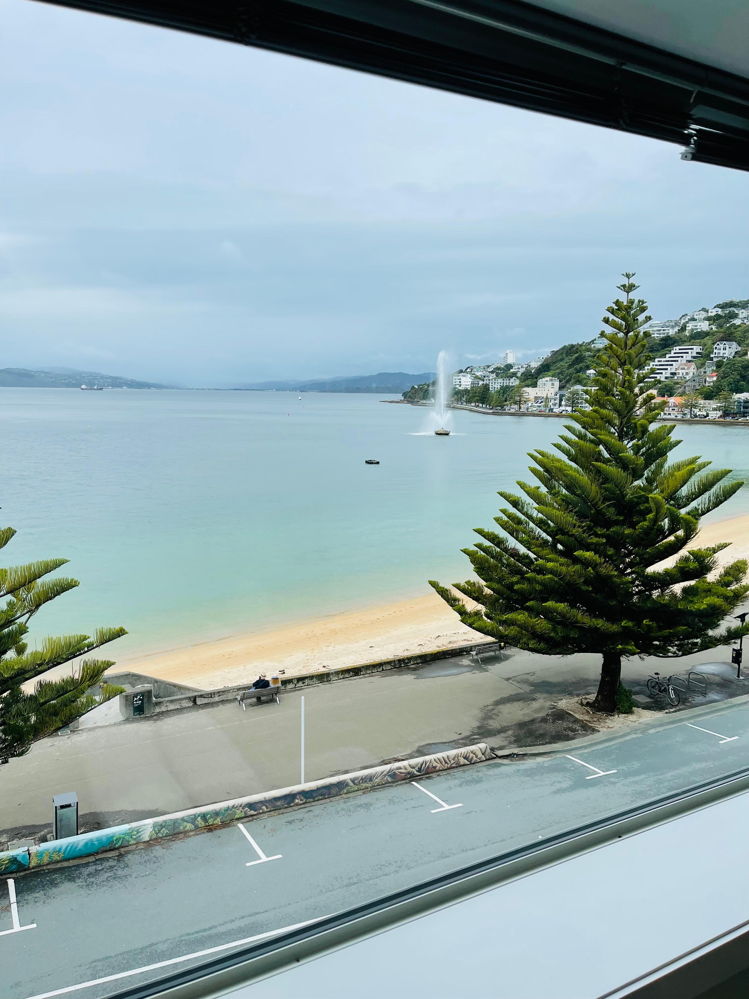 The view from the front window.