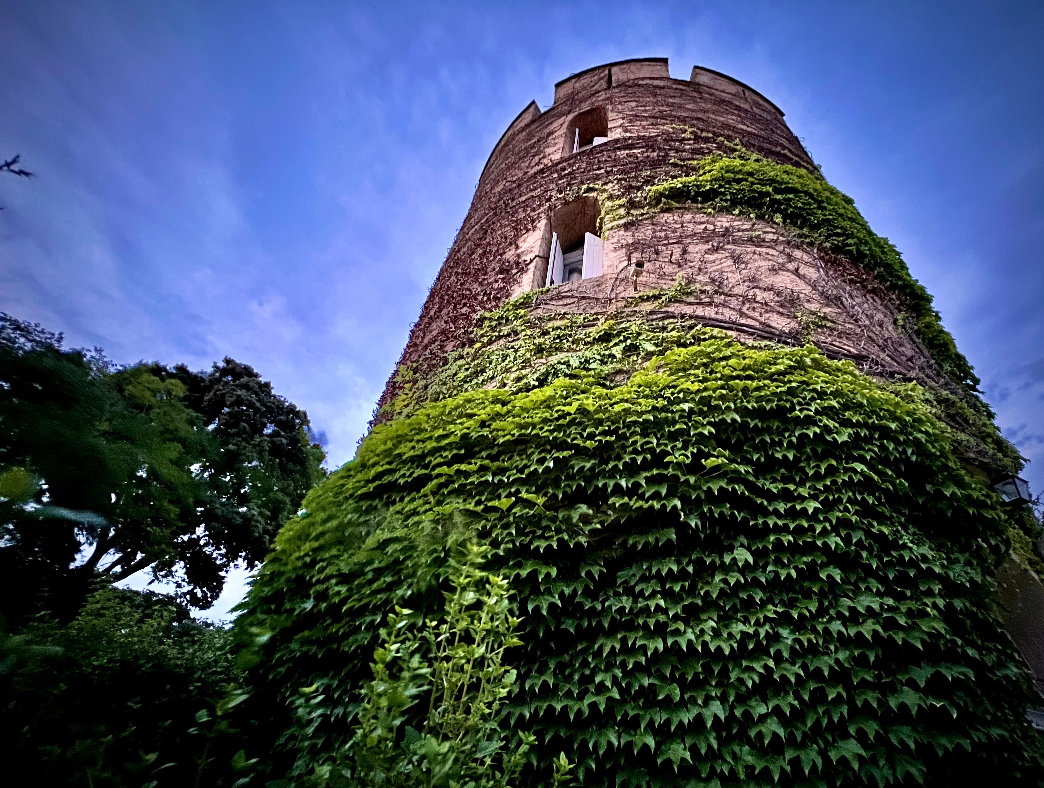 This is one the castles two main towers. We stayed in this one.