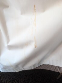 Pee and stains on curtain