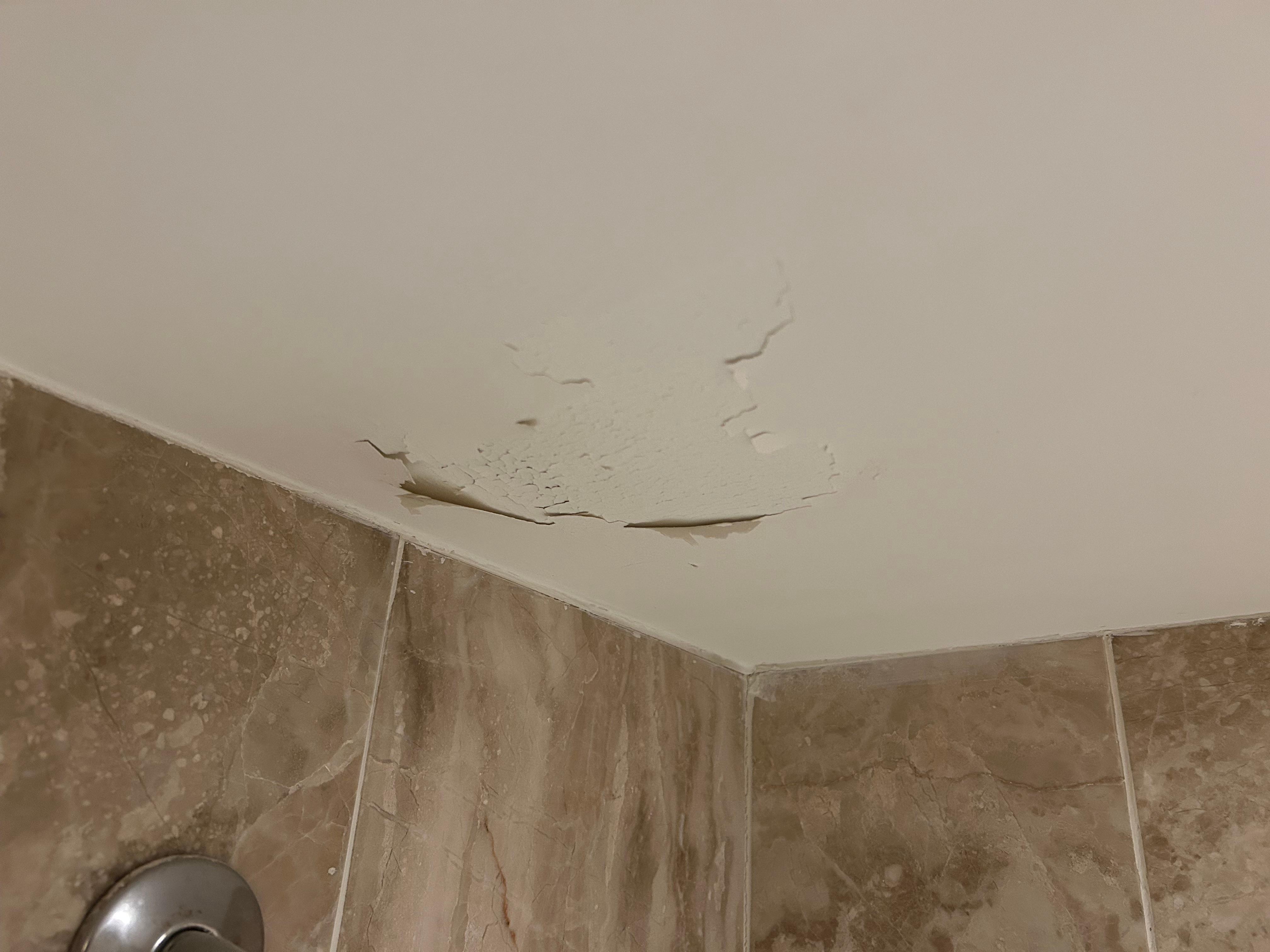 Abgeblätterte Farbe im Badezimmer über der Dusche 