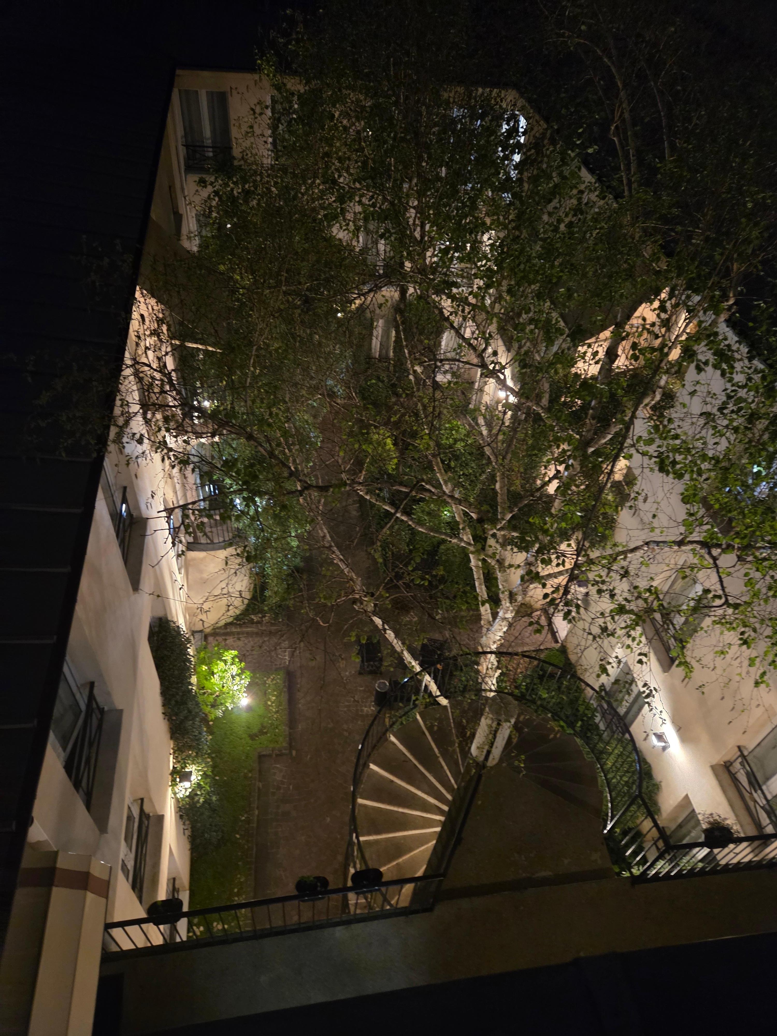 Night view of the garden from my room.