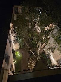 Night view of the garden from my room.